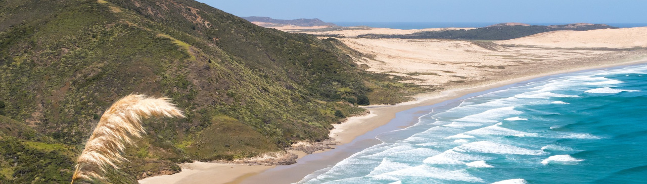 Blick auf die Küste am Cape Reinga